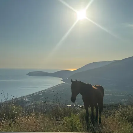 Horizonte Blu * Borsh